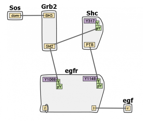 A single egfr contact map.