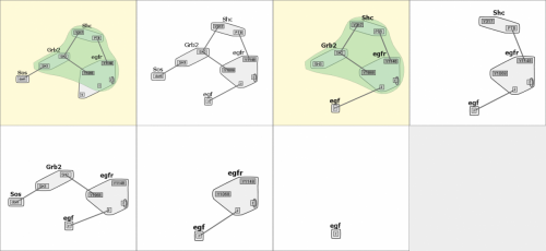Displaying a family of egfr models, highlighting similarities between two of the implementations.