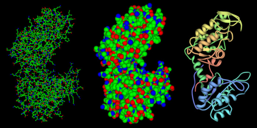 Multiple protein structure representations.